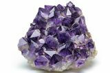 Top Quality, Deep Purple Amethyst Cluster - Congo #231390-1